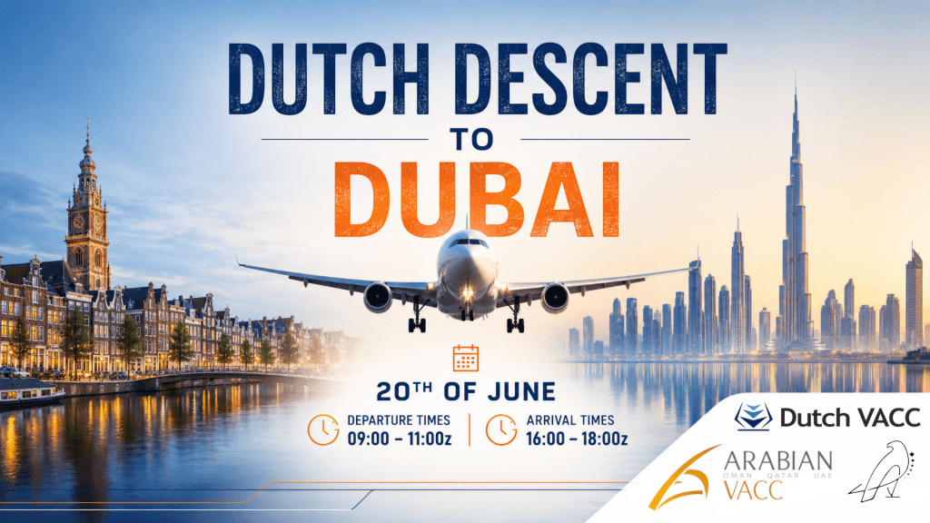 Dutch Descent to Dubai